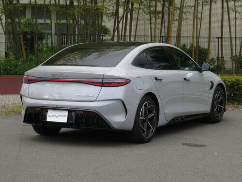 Byd24Seal0116.jpg