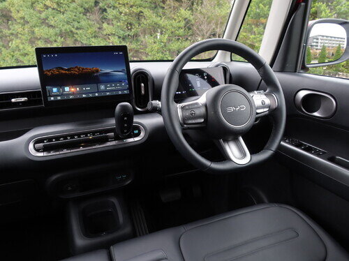 Byd26rco300P0003.jpg