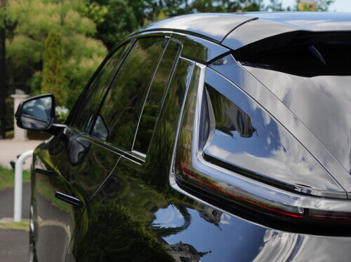 CADI25LiryqP0029.jpg