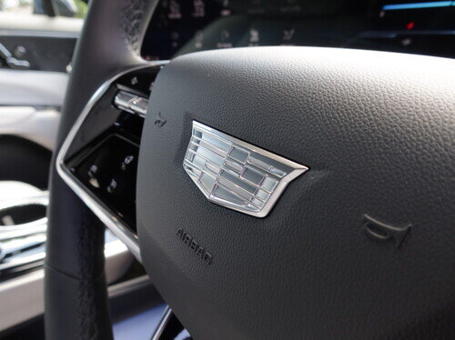 CADI25LiryqP0032.jpg