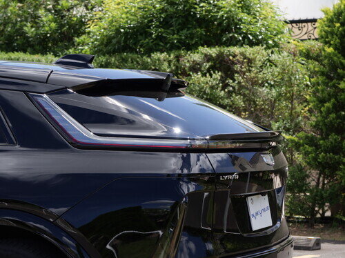 CADI25LiryqP0046.jpg