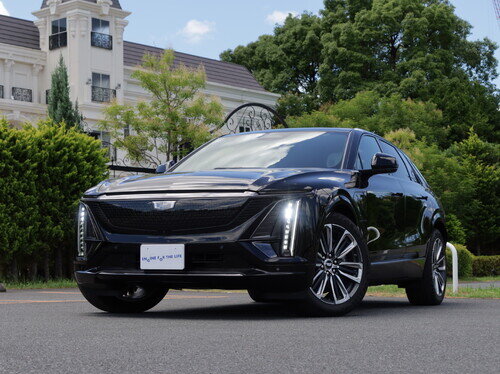CADI25LiryqP0053.jpg