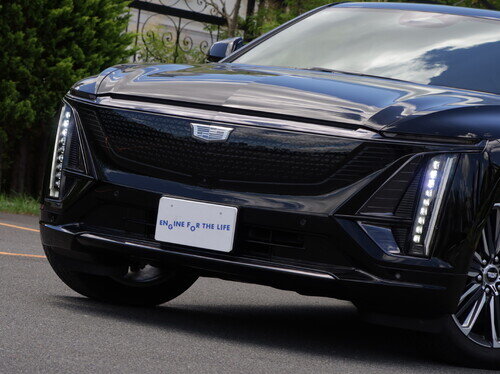 CADI25LiryqP0056.jpg