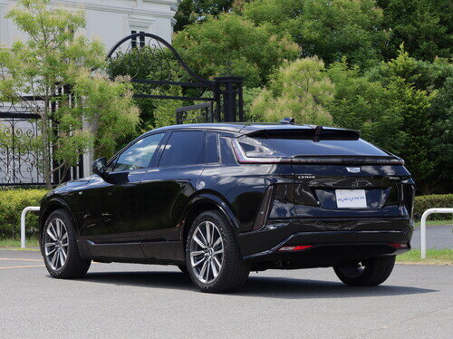 CADI25LiryqP0083.jpg