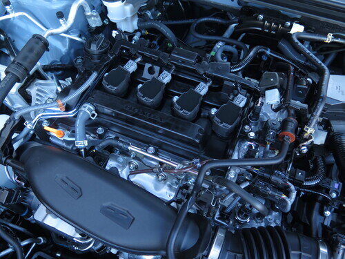 Hon25CvcRS0067.jpg