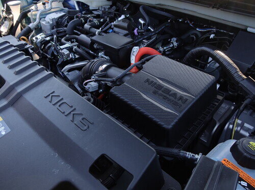 NIS26KIKX0047.jpg