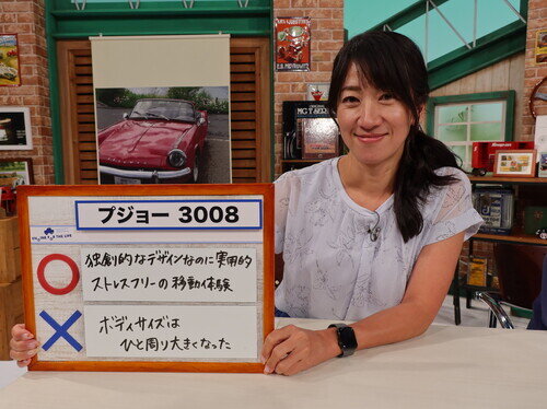 P3008h25gt0006.jpg