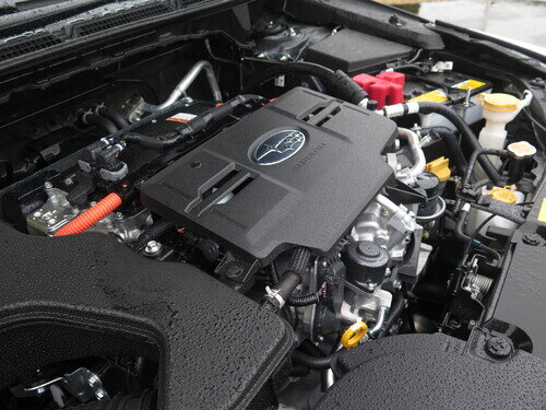 Sbr25CTSHEV0034.jpg