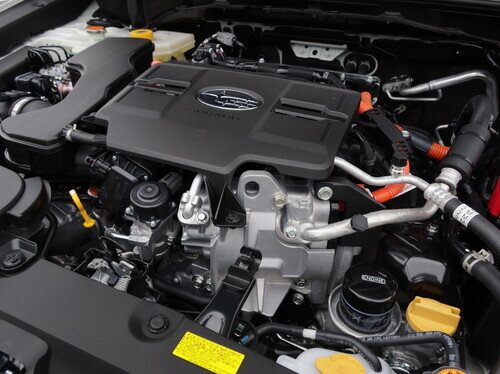 Sbr26LvgLbkShev0128.jpg