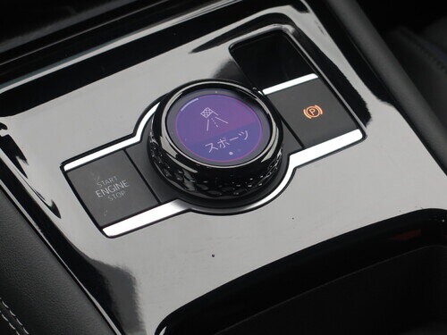 VW25tiganTDI0020.jpg