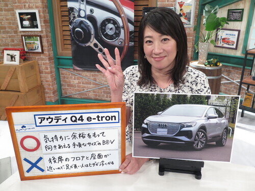 AudiQ4ETSB0088.jpg