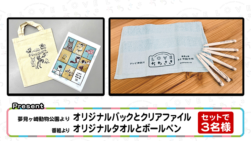 今週のプレゼント