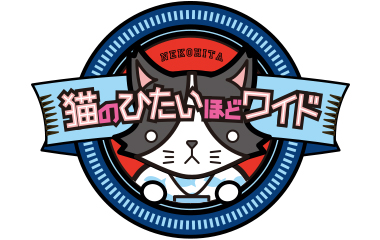 猫のひたいほどワイド