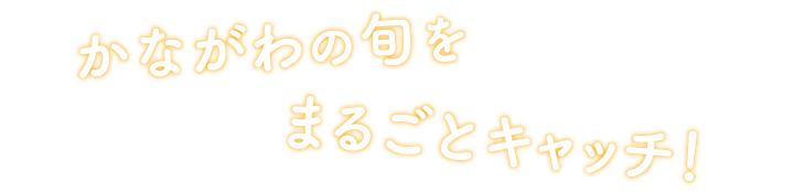 かながわの旬を丸ごとキャッチ！