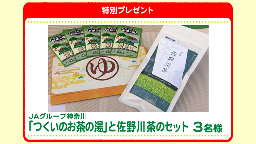 特別プレゼント