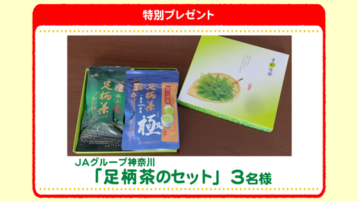 特別プレゼント
