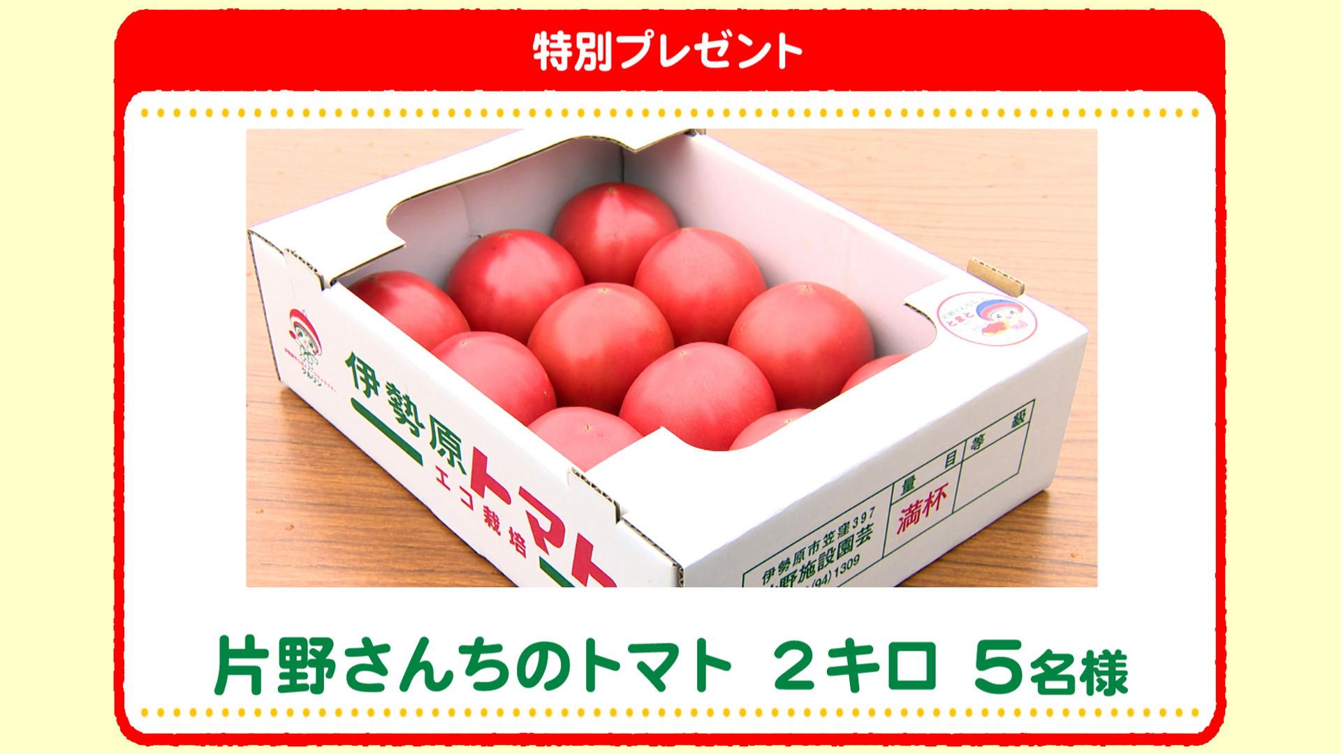 特別プレゼント