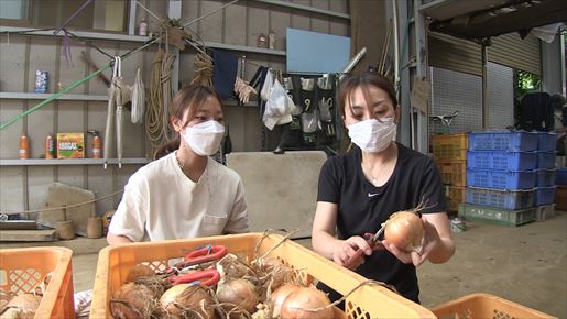 乾杯！女性がつなぐハマの農