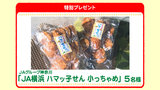 特別プレゼント