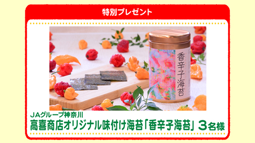 特別プレゼント