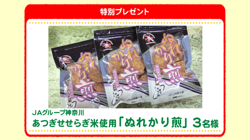 特別プレゼント