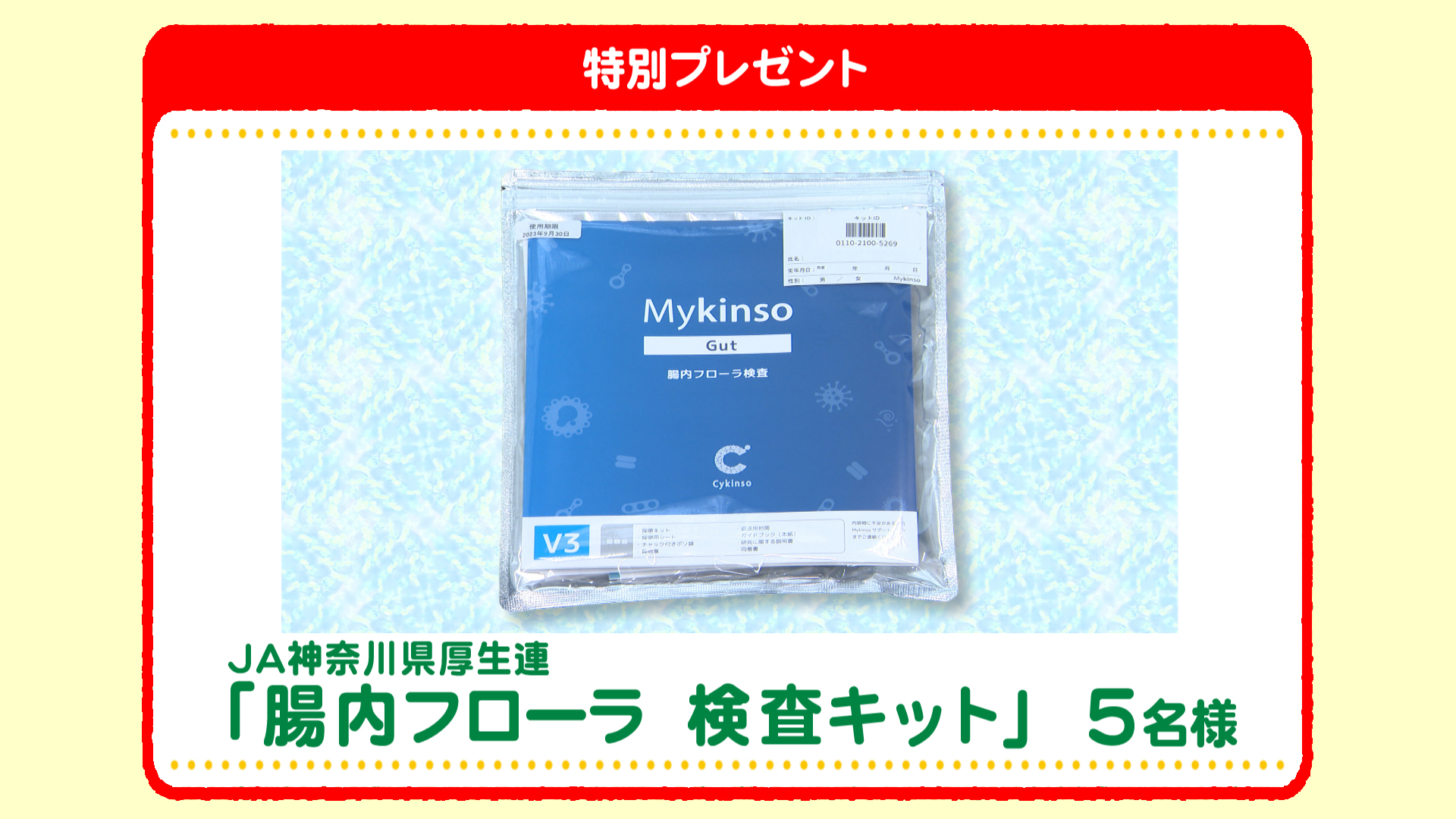 特別プレゼント
