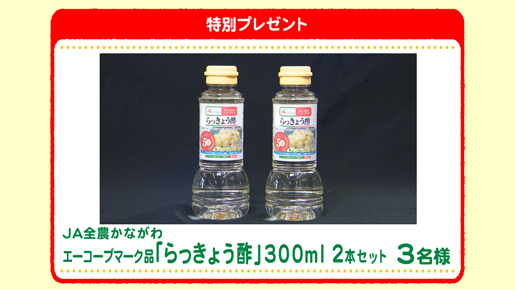 特別プレゼント