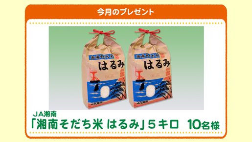 今月のプレゼント
