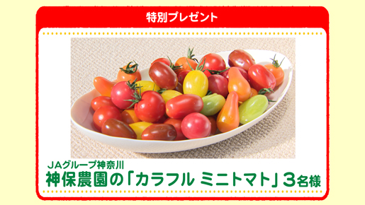 特別プレゼント