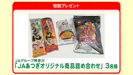 特別プレゼント