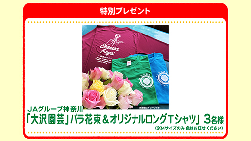 特別プレゼント