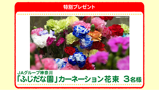 特別プレゼント