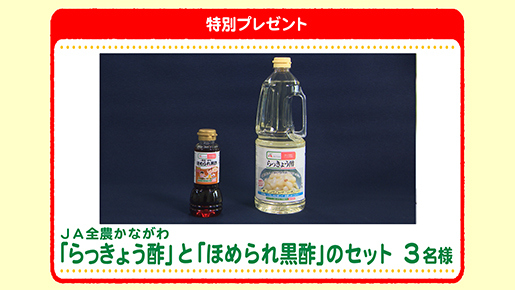 特別プレゼント