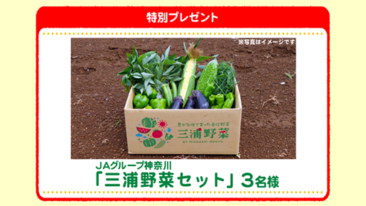 特別プレゼント