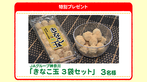 特別プレゼント