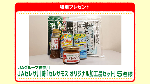 特別プレゼント