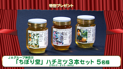 特別プレゼント