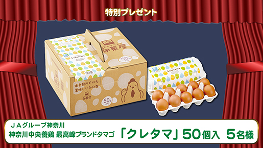 特別プレゼント