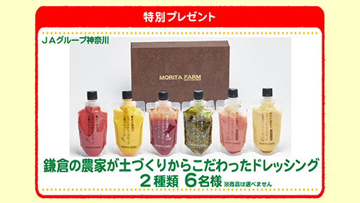特別プレゼント