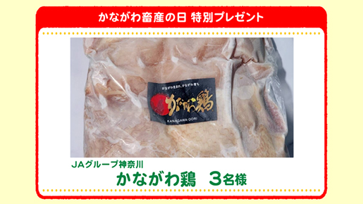 特別プレゼント