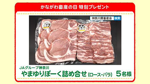 特別プレゼント