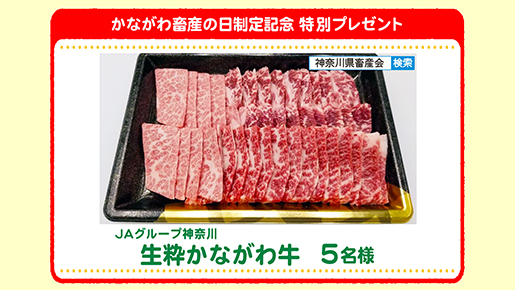 特別プレゼント