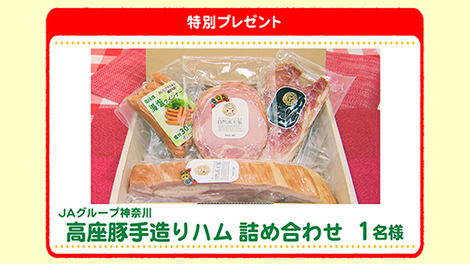 特別プレゼント
