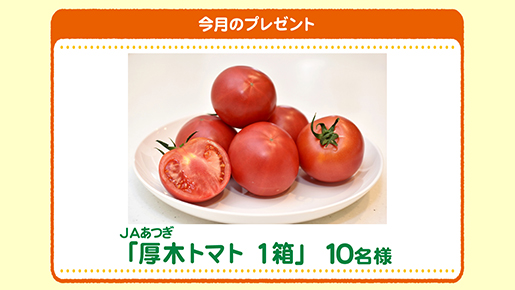 今月のプレゼント