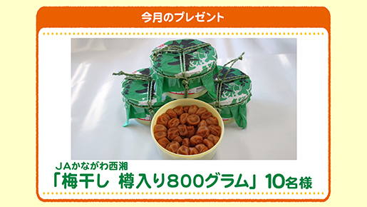 今月のプレゼント