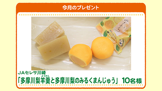 今月のプレゼント
