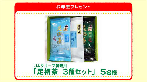 特別プレゼント