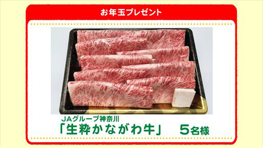 特別プレゼント