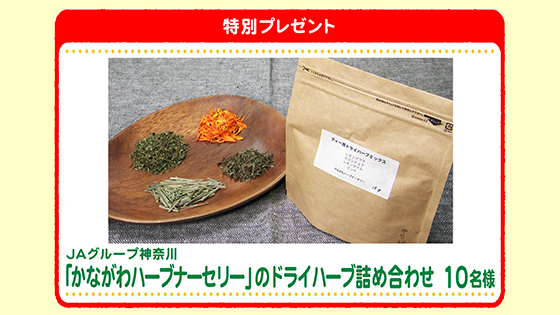 特別プレゼント