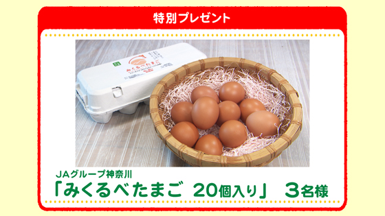 特別プレゼント